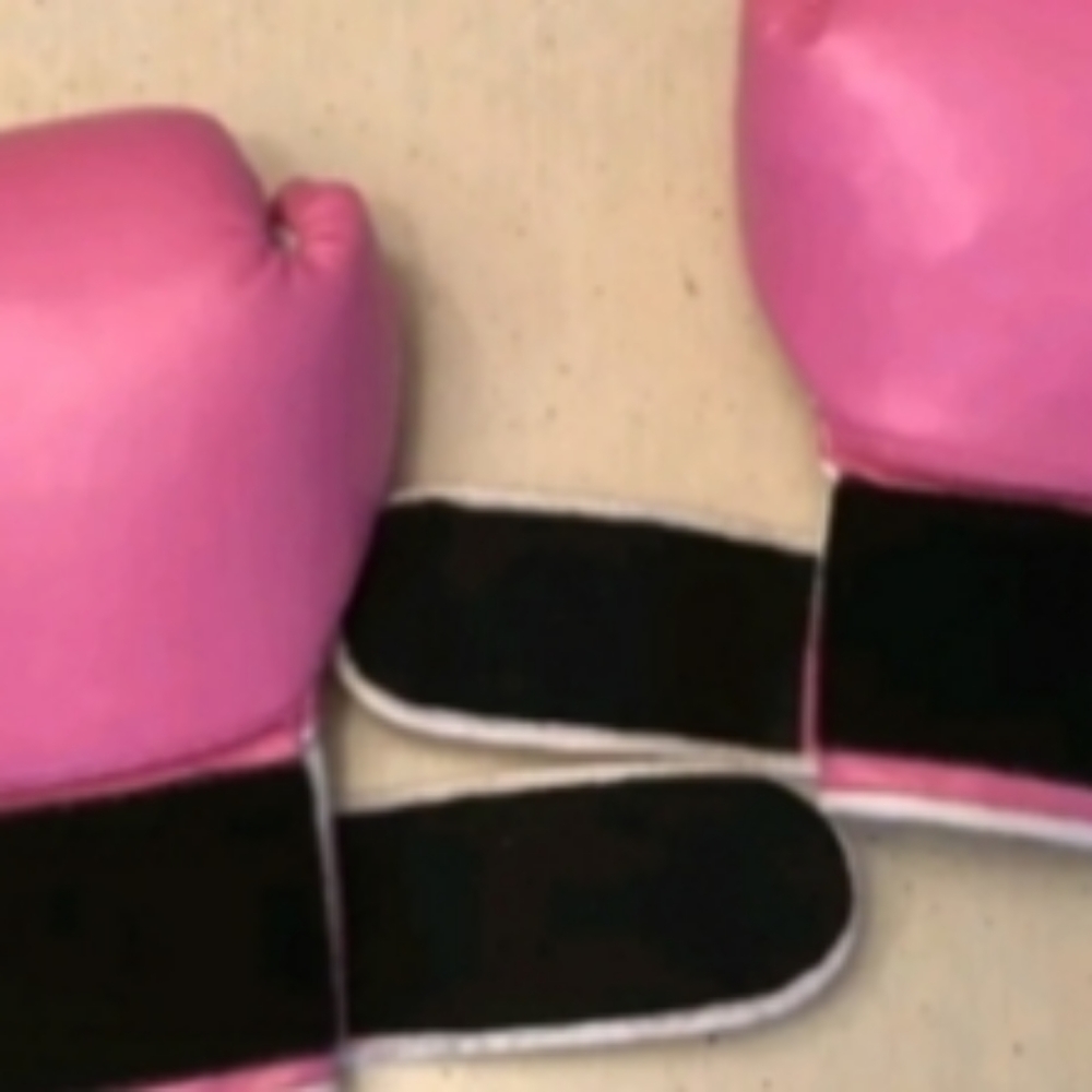 VICTORIA'S SECRET VSX PREVIEW 2011 BOXING GLOVES - Picture 9 of 11